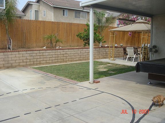 Palm Trees and Orange Tree