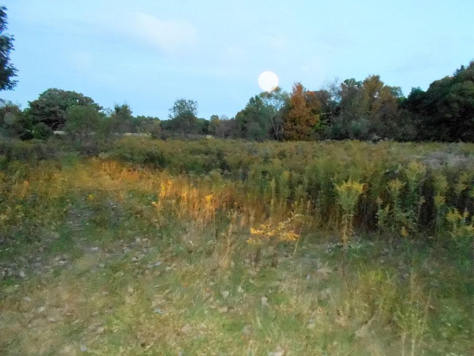 2nd image of 0 N Galena Rd #5