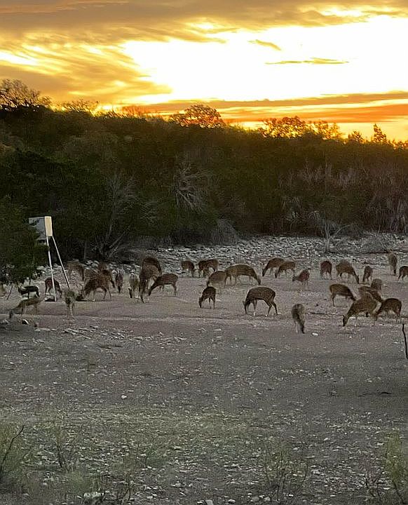 1st image of 0 Sutton County Rd #317