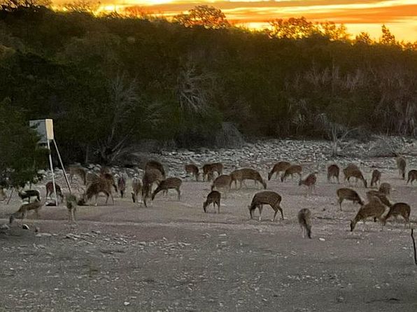 0 Sutton County Rd #317