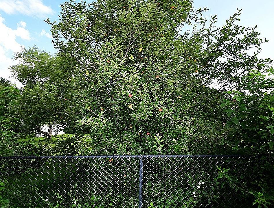 1st image of 144 W 3rd St Lot 2A