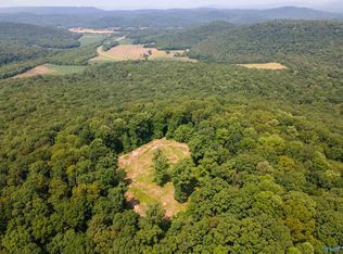 Gurley Dr, Woodville, AL 35776