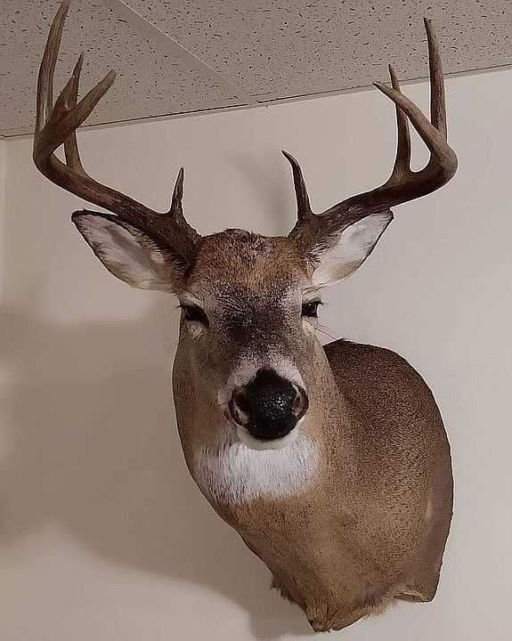 2nd image of Wisconsin Dr