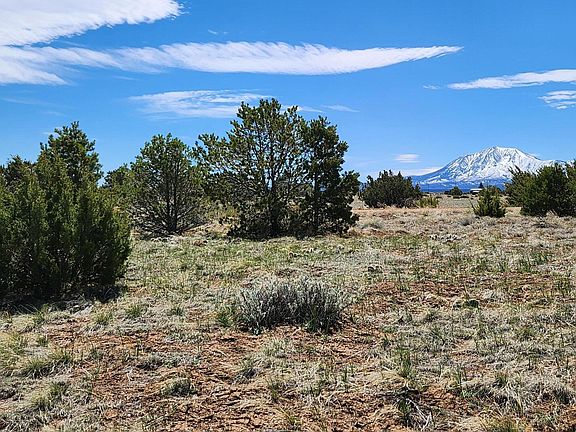 3rd image of 319 Rio Cucharas Chase #2