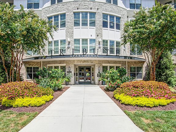 Welcome to The Tribute