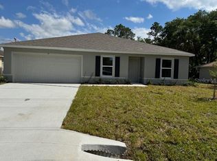 19 Palm Ln, Palm Coast, FL 32164