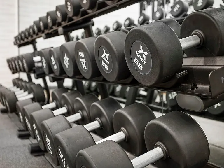 Fitness center with strength equipment