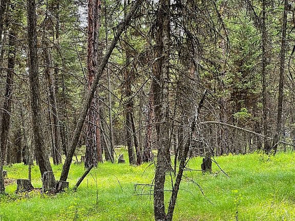 4th image of Nhn Idaho Hill Rd