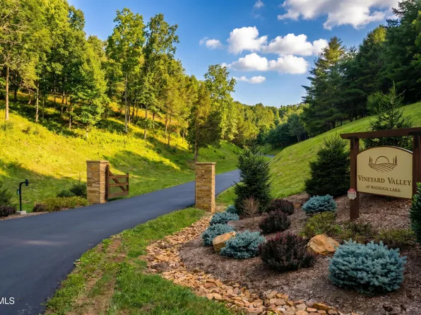 18 Vineyard Valley Dr, Butler, TN 37640