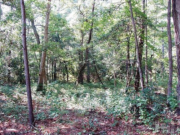 5th image of 0 Spring Chase Lane LOT 27R