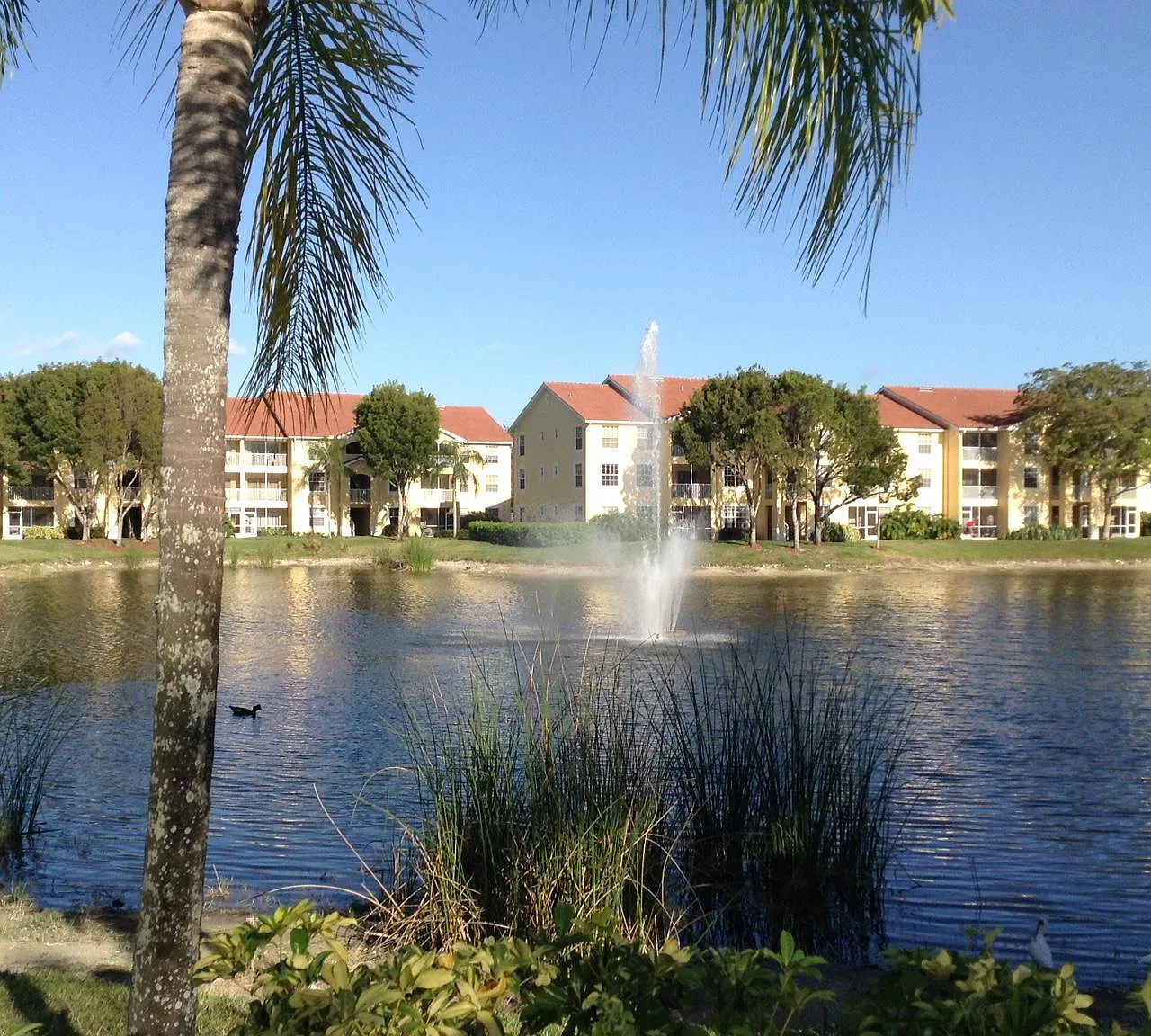 1 bed, 670 sqft, $1,645 — Photo 3