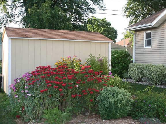lots of perennial flowers