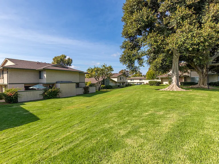 Outdoor grassy areas