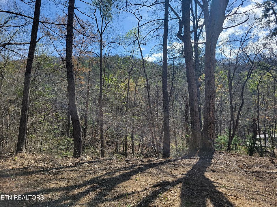 1st image of LOT 13 Honeysuckle Ln