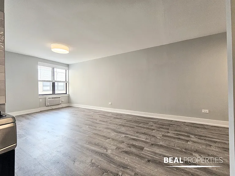 445 W Barry — Photo 14