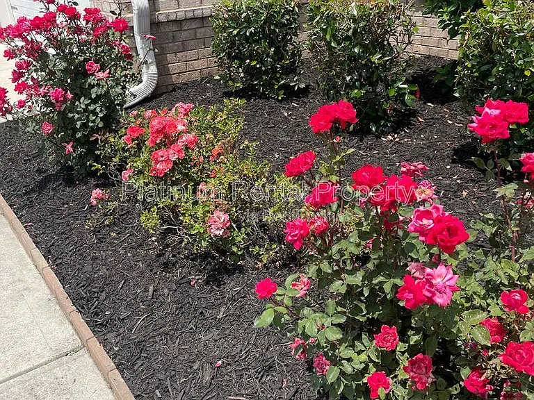 1825 Dahlia Dr — Photo 9