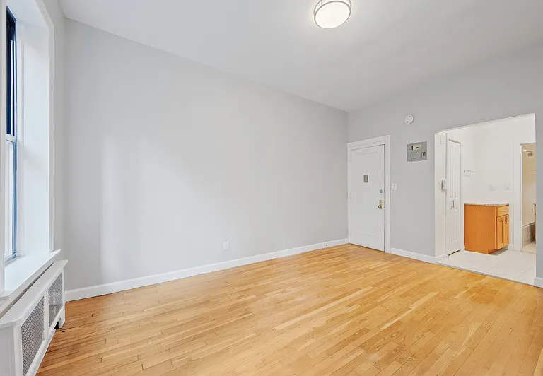 313 E 73rd St #2A — Photo 3