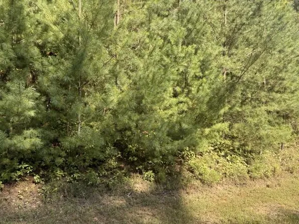 LOT 224 Rushing Water Dr, Blairsville, GA 30512