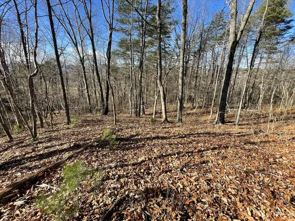 The Knob Rd, Goshen, VA 24439