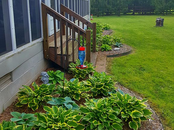 Front of House (Flower bed)