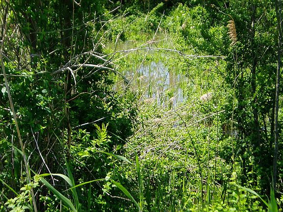 4th image of LOT Desoto Township