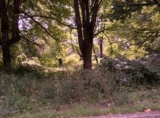 41842 N Shore Ln, Concrete, WA 98237