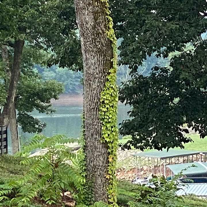 1st image of Riverbend Ln #74