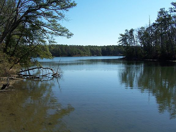 View from pier