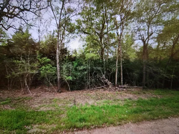 0 S Swan Lake Dr, Caldwell, TX 77836