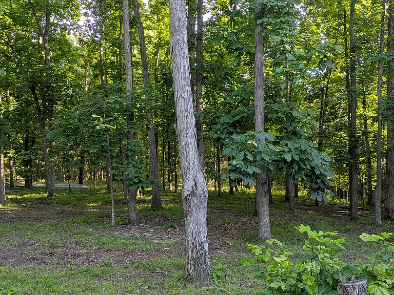 10850 W Alexander Dr — Photo 3