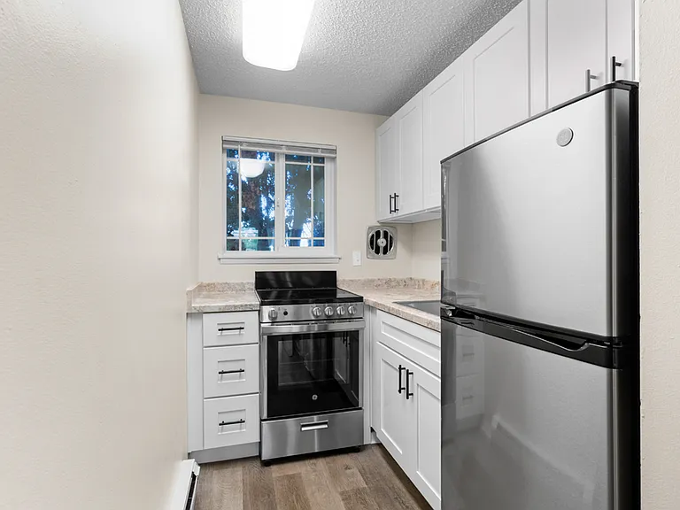 Kitchen Kitchen