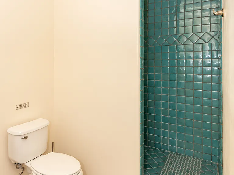 Master bathroom-walk in shower