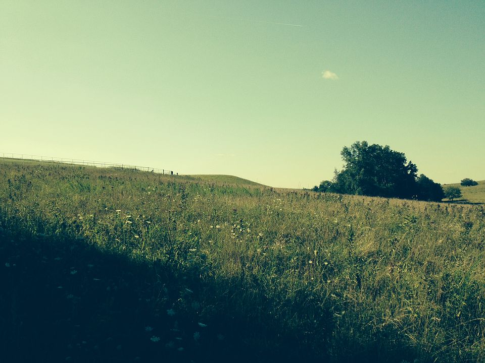 2nd image of 134th