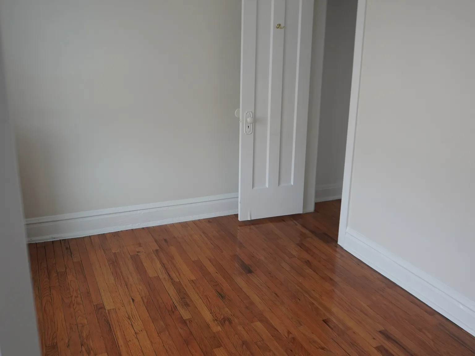 1 bed, 1.0 bath, 800 sqft, $1,200 — Photo 3