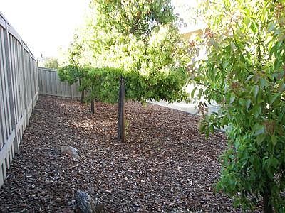 5th image of 338 Marigold Ln