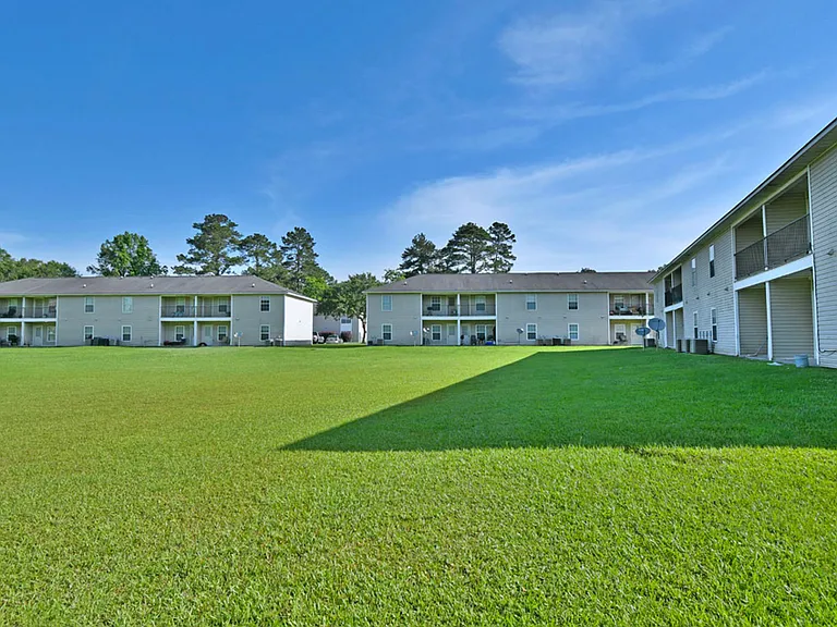 Spring Tree Apartments — Photo 5