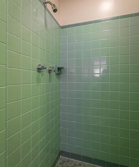 Large master tiled shower.