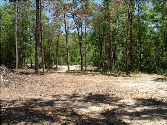 Flat, level, buildable