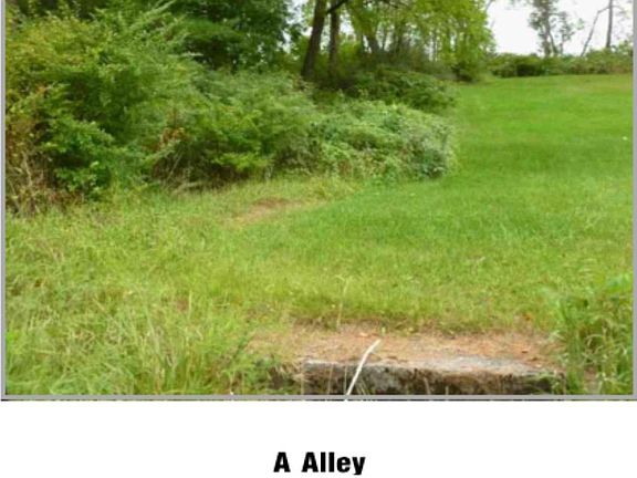 2nd image of 0 Alley