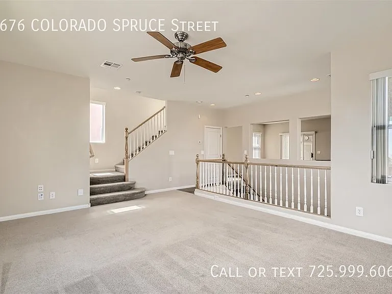 6676 Colorado Spruce St — Photo 5