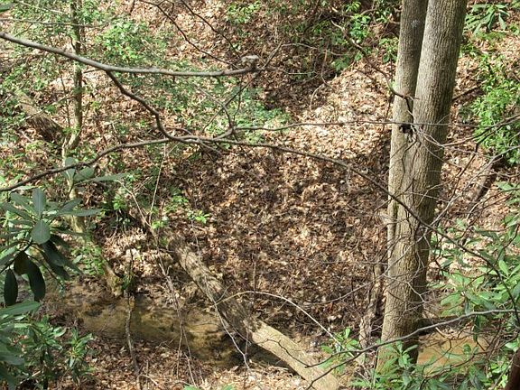 5th image of 315 Falcon Crest Way