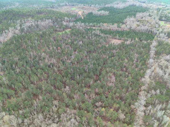 11039 Tallahatta Springs Rd, Thomasville, AL 36784