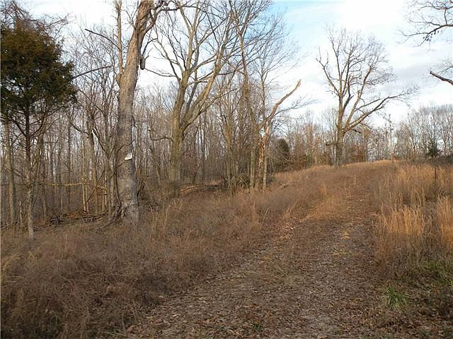 2nd image of 0 Wildcat Creek Rd