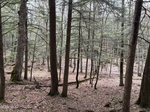 0 Becker Road, Gilboa, NY 12122