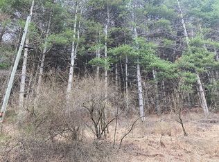48-3-35 Kindreck Rd, Mouth Of Wilson, VA 24363