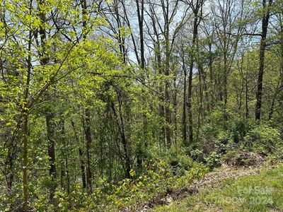 15 Waxwing Way Lot 15, Asheville, NC, 28804
