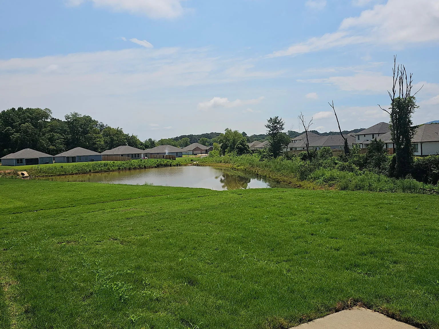 4 bed, 2.5 bath, 2065 sqft, $2,300 — Photo 3