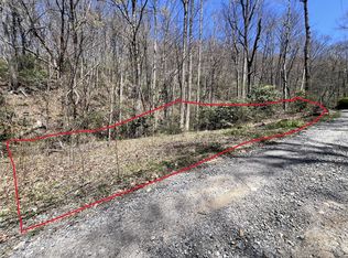 0 Pisgah Mountain Rd, Canton, NC 28716