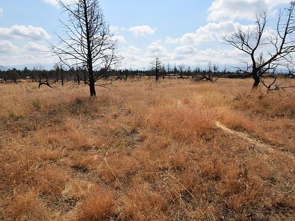 5th image of LOT 17 Carnes Rd