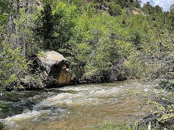 4th image of LOT 13 Beaver Pines Loop